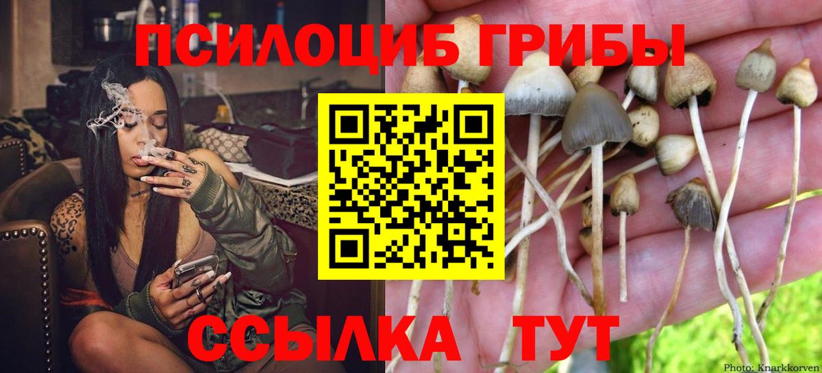 Псилоцибиновые грибы Magic Shrooms  Вход с VPN  Михайловка  Галлюциногенные грибы мицелий 